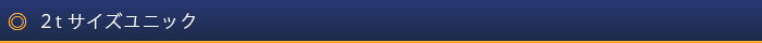 2tサイズユニック